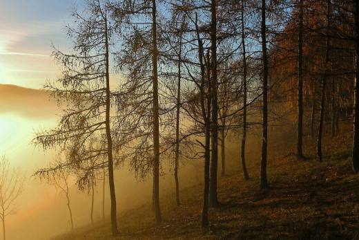 1754495 (a): :1920x1280